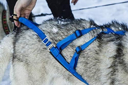Adjustable Sled Pro Harness - Small, Yellow, Dog Pulling Harness for Large Breeds & Giant Dogs, Great for Dog Joring